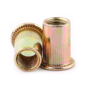 Reverse Thread Nut M8, Carbon Steel Flat Head Insert Nutsert, Rivet Nuts Rivnut Assortment Kit, M3/ M4/ M5/ M6/ M8/ M10/ (M8-20pcs)