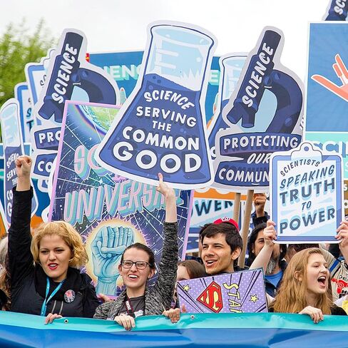 6Pack Poster Board Corrugated Plastic Sheets for Projects Art Crafts Coroplast Sign Blank Board, IKAYAS 18 x 24 Inches White Blank Yard Signs Outdoor Corrugated Plastic Signs in Kuwait