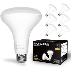 DAYBETTER BR30 LED Light Bulbs Indoor Flood Light, 6Pack 5000K Daylight White LED Bulb 65W Equivalent, Dimmable, E26 Base, 800LM, LED Recessed Can Bulb for Living Room Bedroom Dining Room Bathroom