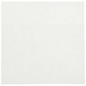 Brady 60324 4-1/2" Width x 4-1/2" Height, Polyester, Clear Overlays for Large HMIG Pin-Feed Label (Pack of 100)