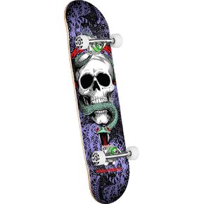 Powell Peralta McGill Skull & Snake Complete Skateboards