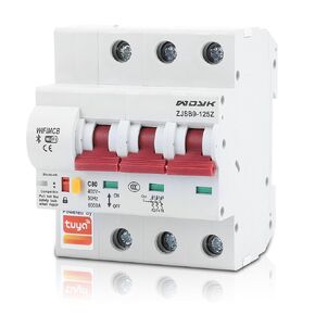 Smart Circuit Breaker Mobile App Remote Switch, Smart Breaker Automatic Reclosing Leakage Pa66 DSM Flame Retardant Shell Ac220v (3P 80A)