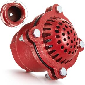 3 Inch Cast Iron Foot Valve NPT Painted Carbon Threaded Foot Valve for Water Service Only