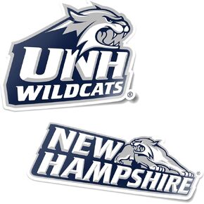 Desert Cactus University of New Hampshire UNH Wildcats Sticker Vinyl Decal Laptop Water Bottle Car Scrapbook (4 Inch Set V1)
