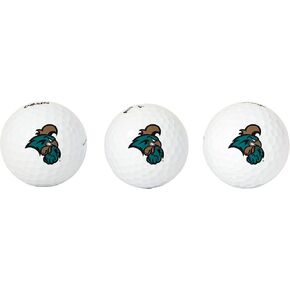 Desert Cactus Coastal Carolina University Golf Balls 3 Pack Full Color Golf Ball (Design A)