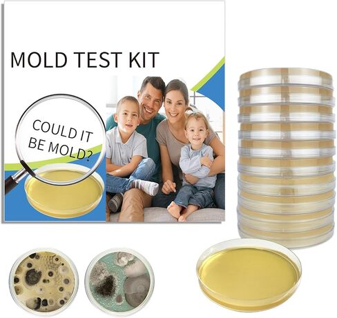 10 Pcs Mold Test Kit, Mold Testing Kit with 10 Individual Tests- Indoor Air Quality Tester-Mold Identification Guide-Free Lab Analysis-Fast and Reliable Mold Detector at Home in Saudi Arabia