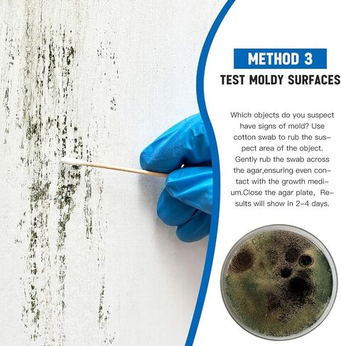10 Pcs Mold Test Kit, Mold Testing Kit with 10 Individual Tests- Indoor Air Quality Tester-Mold Identification Guide-Free Lab Analysis-Fast and Reliable Mold Detector at Home in Saudi Arabia
