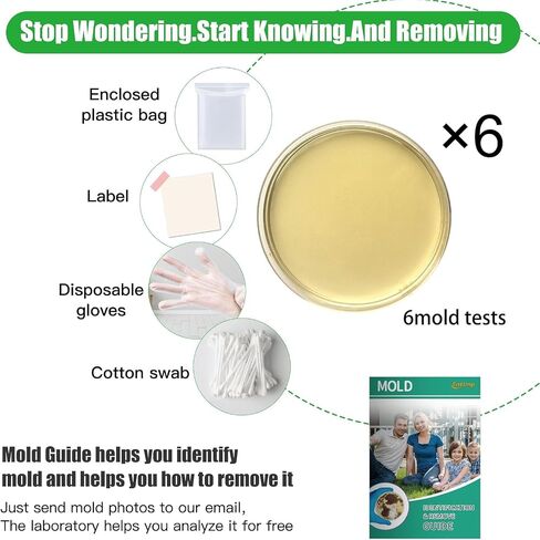 10 Pcs Mold Test Kit, Mold Testing Kit with 10 Individual Tests- Indoor Air Quality Tester-Mold Identification Guide-Free Lab Analysis-Fast and Reliable Mold Detector at Home in Saudi Arabia