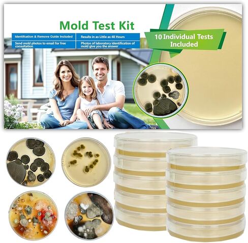 10 Pcs Mold Test Kit, Mold Testing Kit with 10 Individual Tests- Indoor Air Quality Tester-Mold Identification Guide-Free Lab Analysis-Fast and Reliable Mold Detector at Home in Saudi Arabia