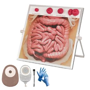 Ostomy Care Simulator Kit, Educational Tool for Nurses, Medical Students & Patient Guidance, Hangable & Tabletop Design for Easy Use and Training