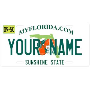 Bleu Reign Personalized License Plate Sign - Florida, Add Custom Name (6x12in)