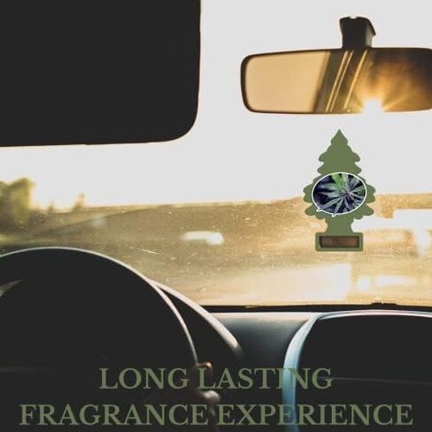 Little Trees U6P-67425: Wild Hemp, Multi in Kuwait