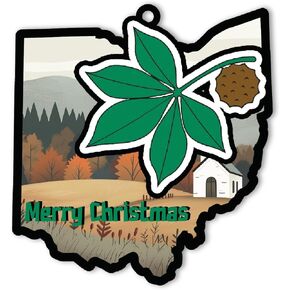 Ohio Christmas Ornament for Ohio Lovers, Ohio State Ornament for Christmas Tree, Xmas Gift for Ohio Residents, Fans, Ohio Enthusiast Keepsake Tree Decor