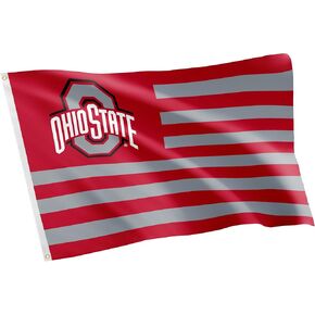 Desert Cactus Ohio State University Indoor and Outdoor 100% Polyester University Flag Banner, 3x5 Feet Nation Style - for Decor, Events, and Ohio State Buckeyes Pride Display