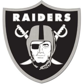 WinCraft NFL unisex-adult,unisex-children Standard