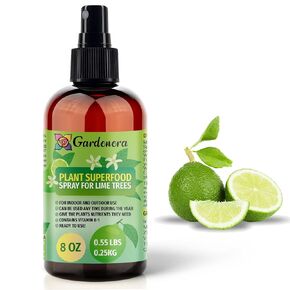 𝐁𝐄𝐒𝐓𝐒𝐄𝐋𝐋𝐄𝐑 Plant Superfood for Begonia Plants with B1 Vitamin, Glucose and Essential Minerals - Organic Plant Food Fertilizer for Indoor & Outdoor Begonia Plant Care - 8oz