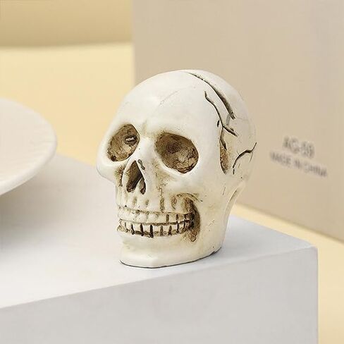 Halloween Skull Design Card Holder Resin Skeleton Base Memo Clips Holder Note Holder Card Holder Photo Clip in Saudi Arabia