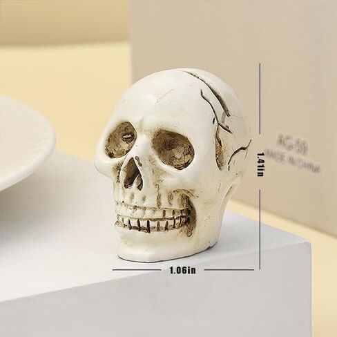 Halloween Skull Design Card Holder Resin Skeleton Base Memo Clips Holder Note Holder Card Holder Photo Clip in Saudi Arabia