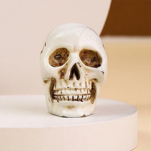 Halloween Skull Design Card Holder Resin Skeleton Base Memo Clips Holder Note Holder Card Holder Photo Clip in Saudi Arabia