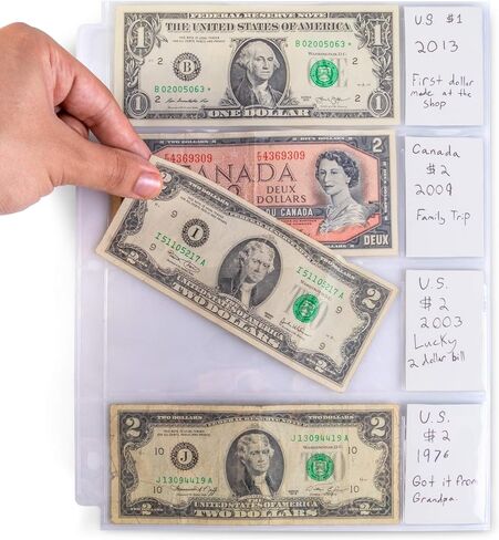 أكمام من الفينيل مكونة من 20 صفحة - حماية مجموعة العملات لهواة الجمع in Kuwait