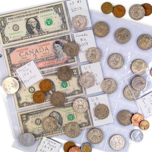 أكمام من الفينيل مكونة من 20 صفحة - حماية مجموعة العملات لهواة الجمع in Kuwait