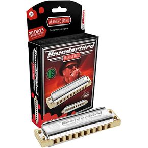 HOHNER Thunderbird Low Tuned Harmonica, Key of D (M2011BXLD)