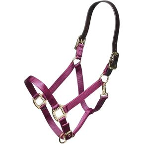 ARMA Shires Nylon Halter with Leather Head Strap