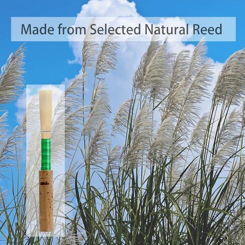 أداة Oboe Reed الاحترافية متوسطة النعومة - جودة صوت متينة ومتسقة، مثالية للطلاب والمحترفين - براعة عالية الجودة من أجل إمكانية تشغيل استثنائية in Kuwait