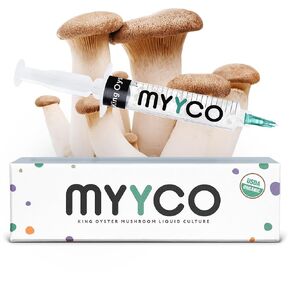 Organic King Oyster Liquid Culture - Isolated Genetics for Fast Growth & Larger Mushrooms - Faster Growing Than King Oyster Spores - USDA Certified Organic King Oyster
