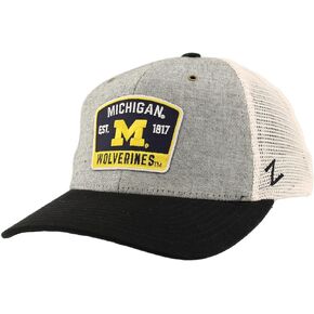 Zephyr Unisex Adult NCAA Officially Licensed Snapback Dylan Patch Switch Hat, Heather