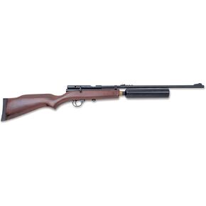 Beeman, QB CO2 Air Rifle.22 Caliber, 21 1/2" Barrel, Single Shot (QB79-22)