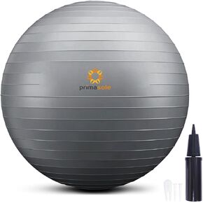 Primasole Fitness Ball 65CM Silver Gray