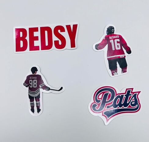 50 Piece Ice Hokey Stickers Bedsy Stickers Chicago Black Hawk Stickers NNHL Stickers Waterproof Vinyl Laptop Water Bottle Luggage Decal for Teen boy in Saudi Arabia