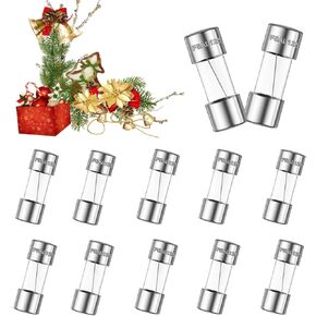 12PCS Christmas Light Fuses 3.6 x 10 mm 5A 125V Fuses 0.14 x 0.39 Inch 5Amp 125 Volt Fast-Blow Glass Fuses for Christmas Tree Mini LED Lights Outdoor String Lights