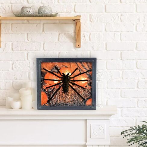 طيور عملاقة حقيقية لتناول الطعام الرتيلاء Eurypeima Spincrus Spider Supider Supider Display Boxplent (صندوق خشبي أسود) (Halloween Pumpkin ، 6x7) in Kuwait