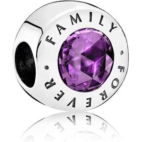 MiniJewelry Family Forever Charms for Bracelets Necklaces Pendants Sister Daughter Mom Granddaughter Auntie Niece Women Girls Birthday Christmas Sterling Silver Beads