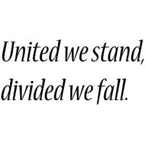 HZ Graphics United We Stand, Divided We Fall. Vinyl Decal Wall Laptop Bumper Sticker 5"