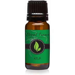 Blueberry Premium Grade Fragrance Oil - Scented Oil - 30ml in Kuwait