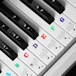 Piano Keyboard Stickers for 88/61/54/49 Key Piano Key Stickers Bold Large Letter Piano Stickers for Learning Transparent and Removable Keyboard Stickers Piano Notes Guide (Colorful)