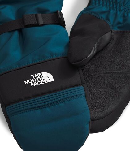 THE NORTH FACE Men's Montana Insulated Ski Mitten, Nettle The Lift Print, X-Large in Saudi Arabia