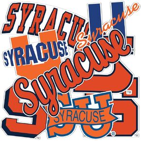 Desert Cactus Syracuse University Cuse Orange Sticker Vinyl Decals Laptop Water Bottle Car T2 (Type 2 - Vintage)