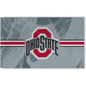 Northwest NCAA Ohio State Buckeyes, Brushstroke, Washable Rug, 36 x 62 Inches