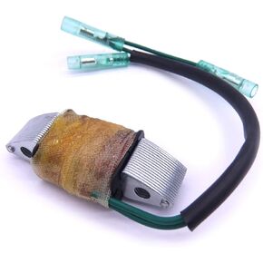 Boat Motor 6H3-81303-A0-00 T60-05000100 Lighting Coil Assy for Yamaha Parsun HDX Makara Outboard Engine 60HP 70HP