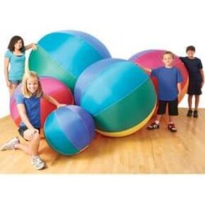 US Games Ultra Light Cage Ball, 36"