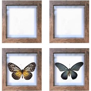 4 PCS Butterfly Display Case Shadow Box Frame, Insect Display Case Wood Specimen Showcase Insect Specimen Storage Box for Bug Butterfly Insect Collection Display, 5.2 x 5.2 Inch