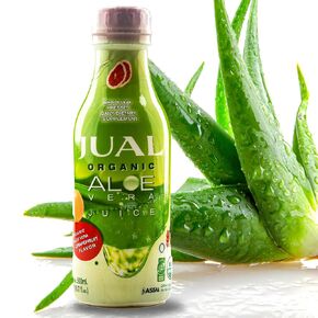 jual Healthy Organic Artor Malice Juice Drink ، 16.7 Fl Oz - نكهة الجريب فروت - aloe vera drink - نباتي ، سكر الصفر ، عصير الصبار النقي الخالي من الصحة لصحة الأمعاء - الداعم المناعي ، 500 مل (حزمة 1)
