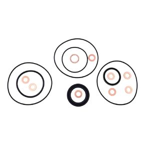 HOLDWELL Hydraulic Motor Seal Kit Compatible with Eaton 60539-000 Char-Lynn 60539 103(S) Series 009 010