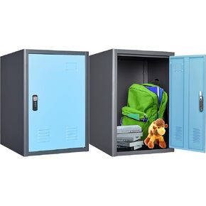 3.5CUB Locker Storage Cabinet, 19.7"H Metal Locker Storage Cabinet With 1 Doors, Small Metal Locker,Lockable Storage Cabinet,for employees,Office,Kids locker - Assembly Required (Elegant Gray)