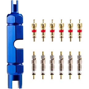 Bicycle Valve Core Remover Tool Kit for Presta and Schrader Valve, Car Bike Valve Core Repair Tightening Tool with 12PCS Valve Cores Brass Replacement