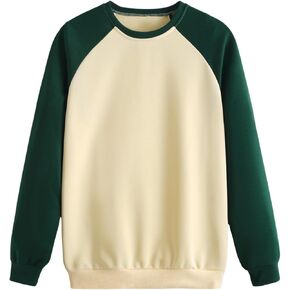 Men's Crewneck Sweatshirts Colorblock Long Sleeve Oversized Pullover Top
